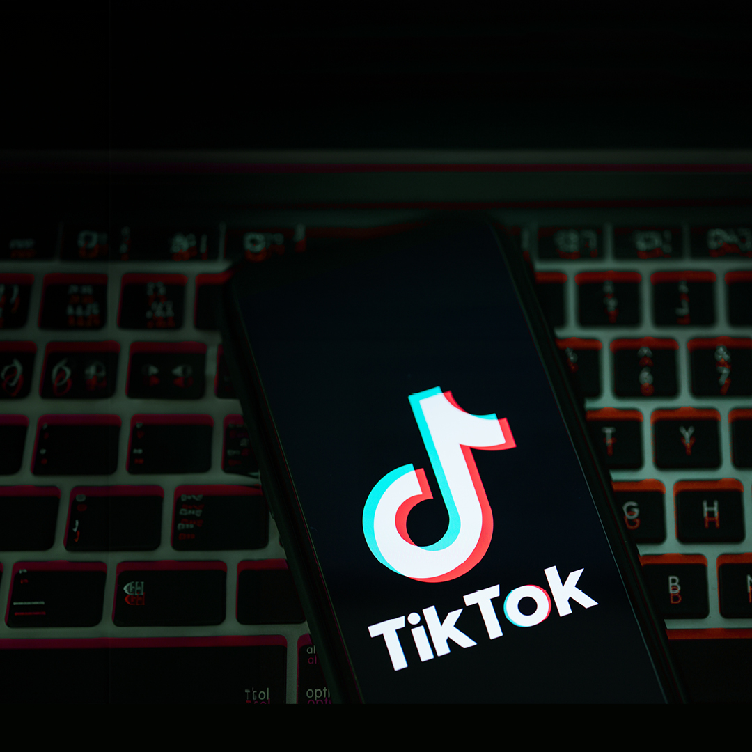 TIKTOK visual data 6