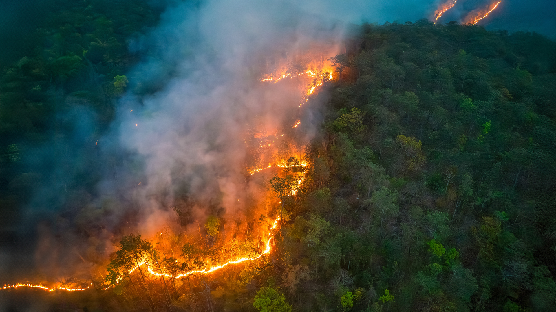 wildfires-1