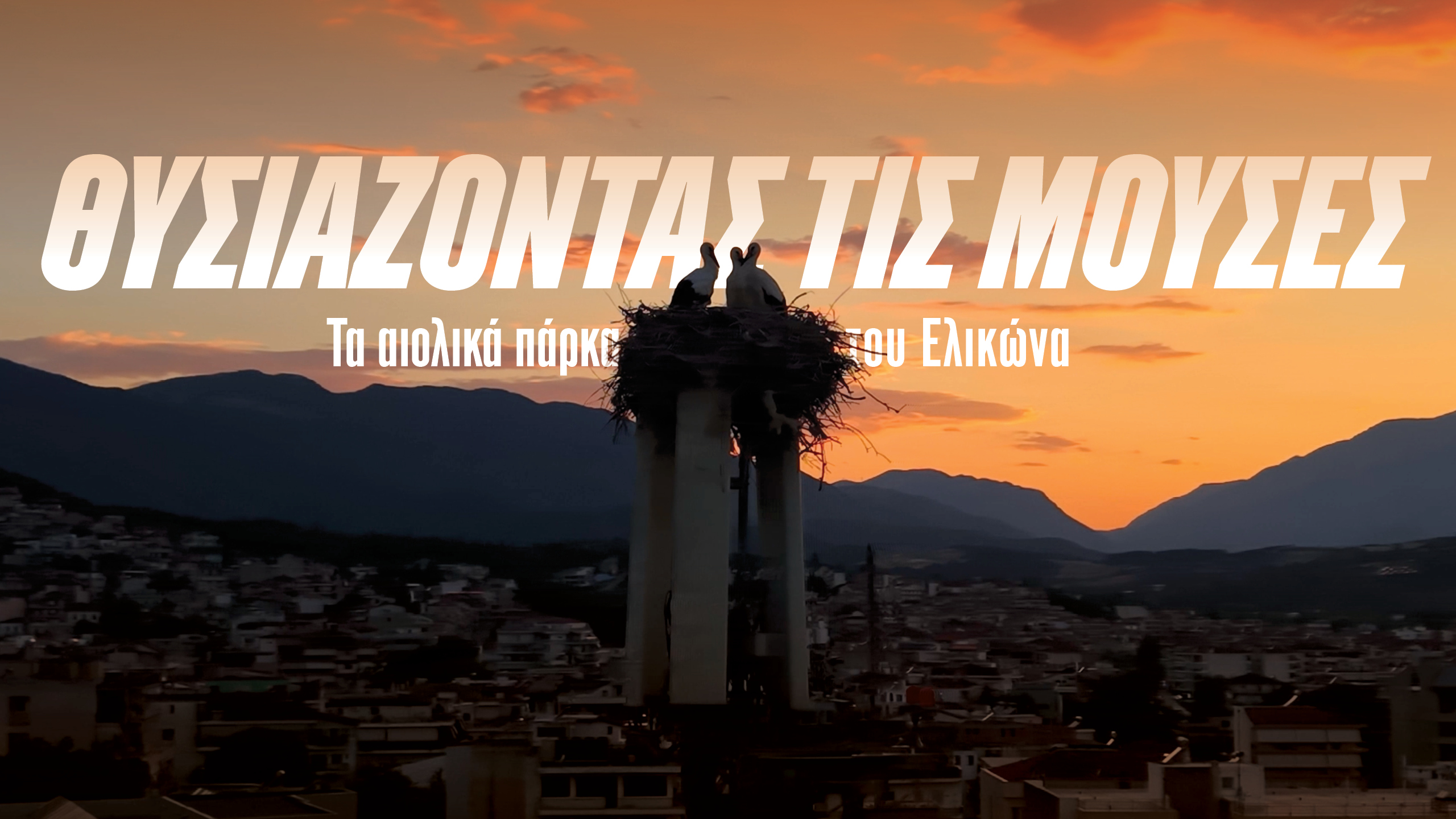 MOYSES_MAIN_1920x1080_gr